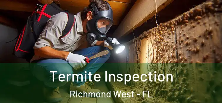  Termite Inspection Richmond West - FL