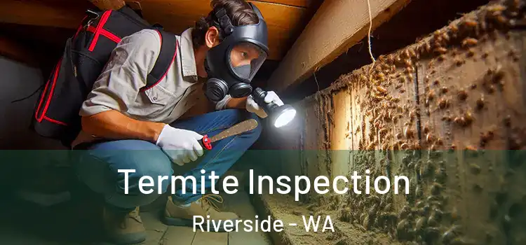 Termite Inspection Riverside - WA