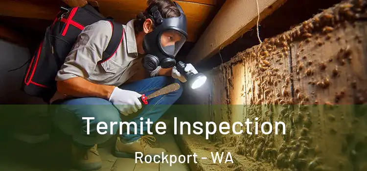  Termite Inspection Rockport - WA