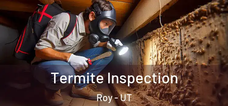  Termite Inspection Roy - UT