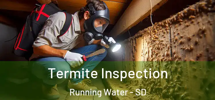  Termite Inspection Running Water - SD
