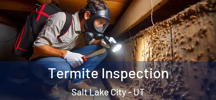  Termite Inspection Salt Lake City - UT