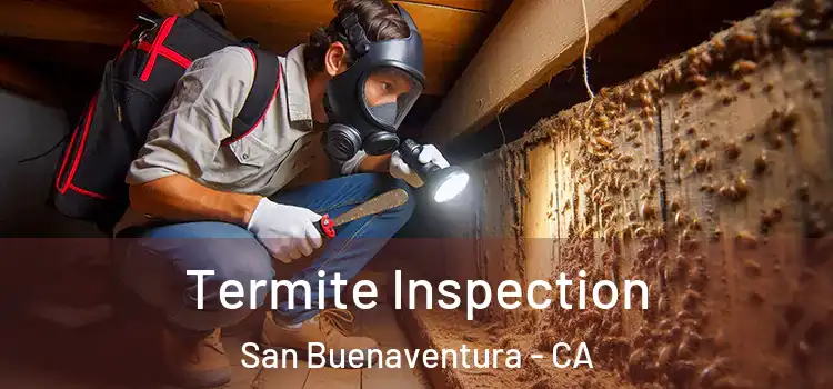  Termite Inspection San Buenaventura - CA