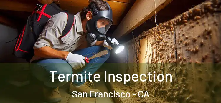  Termite Inspection San Francisco - CA
