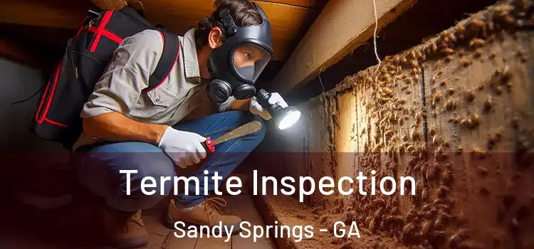  Termite Inspection Sandy Springs - GA