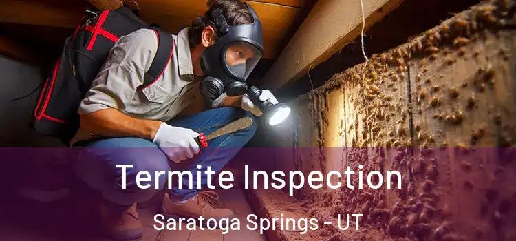  Termite Inspection Saratoga Springs - UT