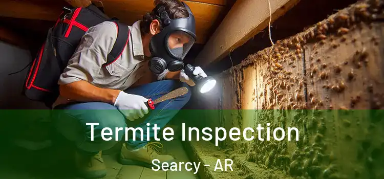  Termite Inspection Searcy - AR