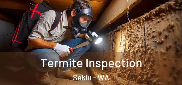  Termite Inspection Sekiu - WA