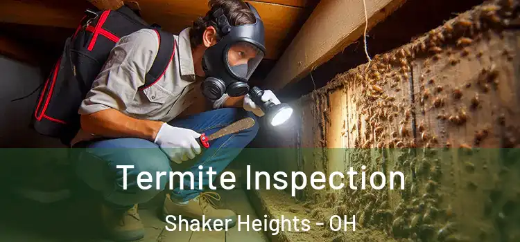  Termite Inspection Shaker Heights - OH