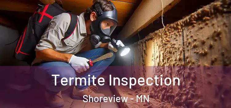  Termite Inspection Shoreview - MN