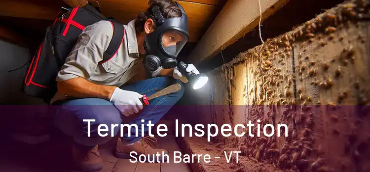  Termite Inspection South Barre - VT