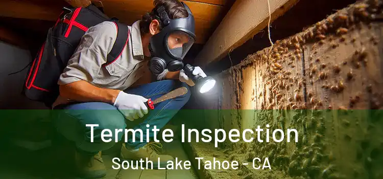  Termite Inspection South Lake Tahoe - CA