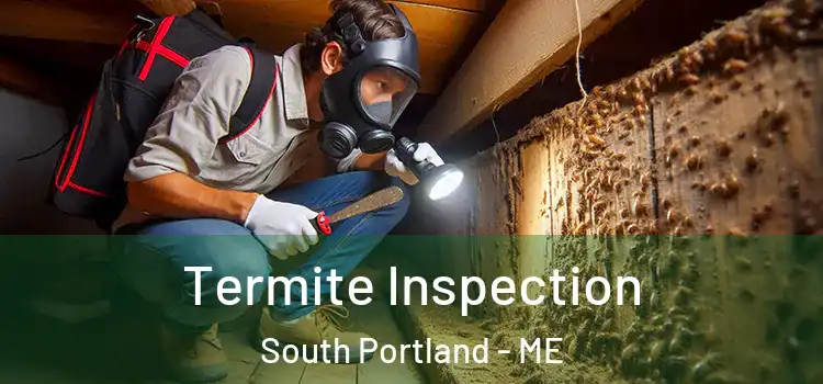  Termite Inspection South Portland - ME