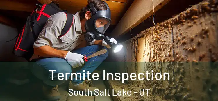  Termite Inspection South Salt Lake - UT