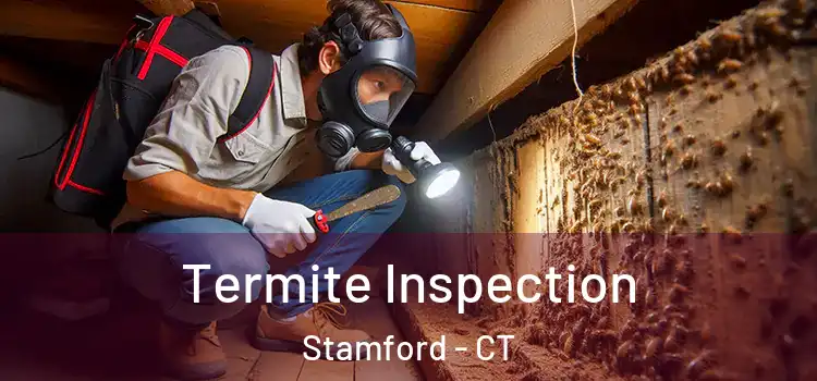 Termite Inspection Stamford - CT