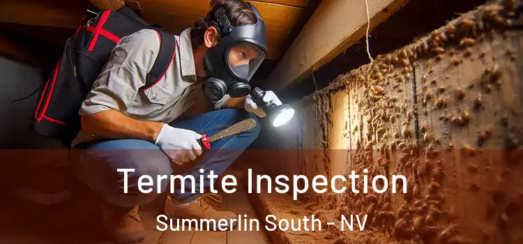  Termite Inspection Summerlin South - NV