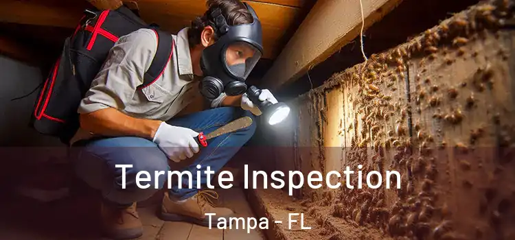  Termite Inspection Tampa - FL