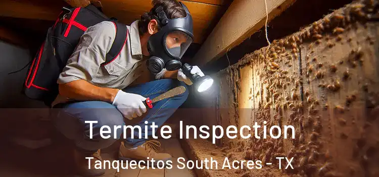  Termite Inspection Tanquecitos South Acres - TX