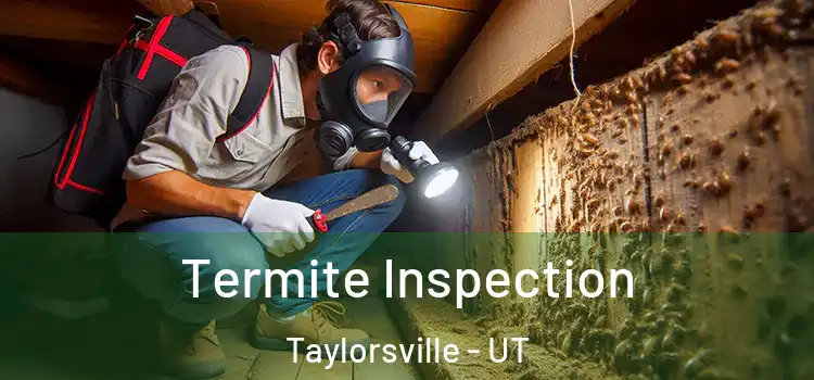  Termite Inspection Taylorsville - UT