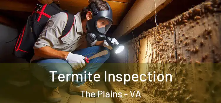  Termite Inspection The Plains - VA
