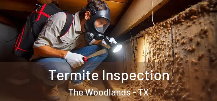  Termite Inspection The Woodlands - TX