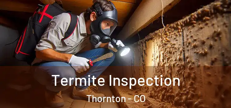  Termite Inspection Thornton - CO