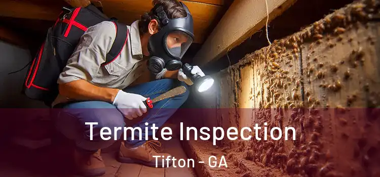  Termite Inspection Tifton - GA