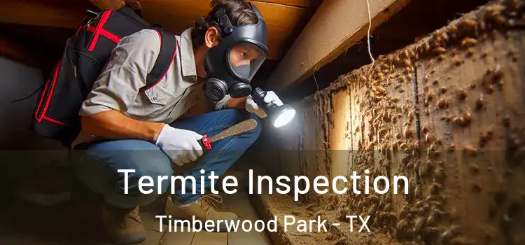 Termite Inspection Timberwood Park - TX