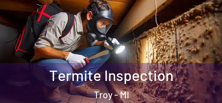  Termite Inspection Troy - MI