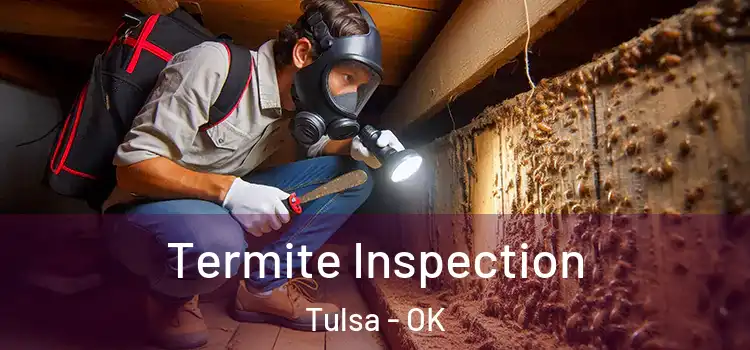  Termite Inspection Tulsa - OK