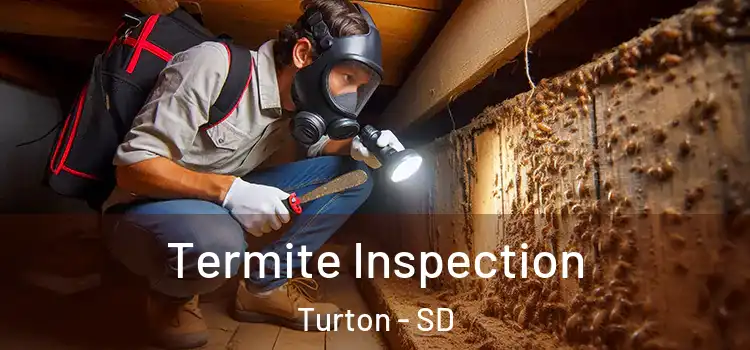  Termite Inspection Turton - SD