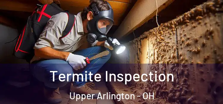  Termite Inspection Upper Arlington - OH