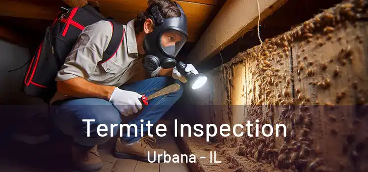Termite Inspection Urbana - IL