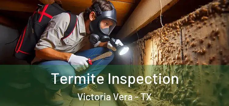  Termite Inspection Victoria Vera - TX