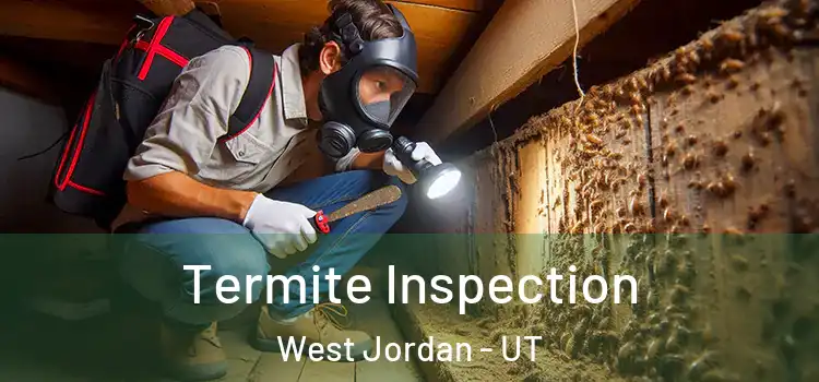  Termite Inspection West Jordan - UT