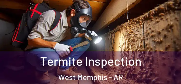  Termite Inspection West Memphis - AR