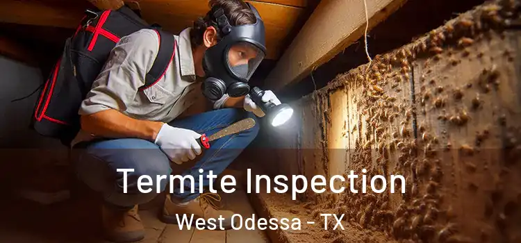  Termite Inspection West Odessa - TX