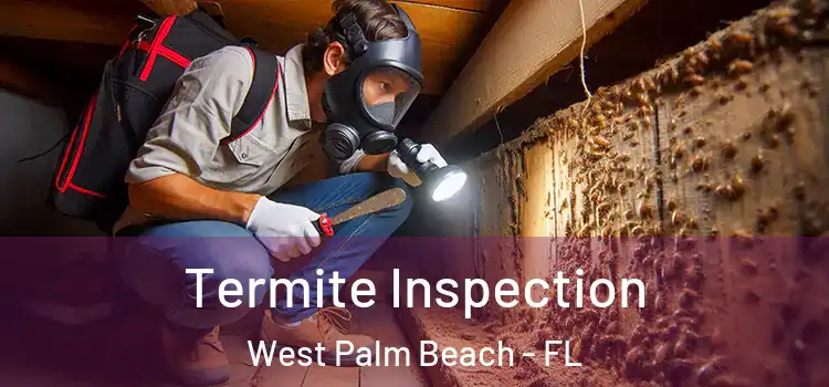 Termite Inspection West Palm Beach - FL