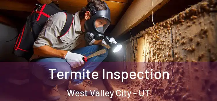  Termite Inspection West Valley City - UT