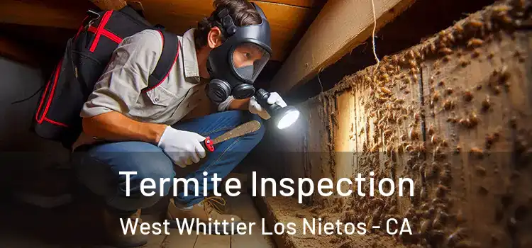  Termite Inspection West Whittier Los Nietos - CA
