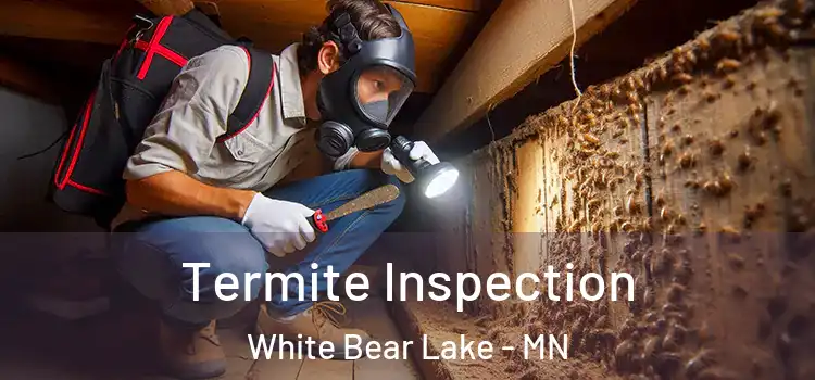  Termite Inspection White Bear Lake - MN