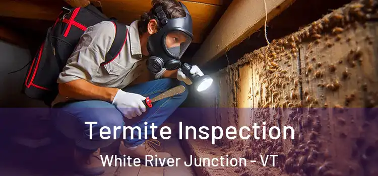  Termite Inspection White River Junction - VT