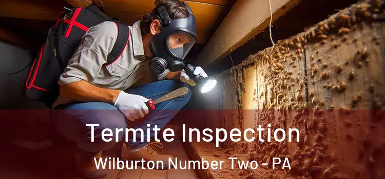  Termite Inspection Wilburton Number Two - PA