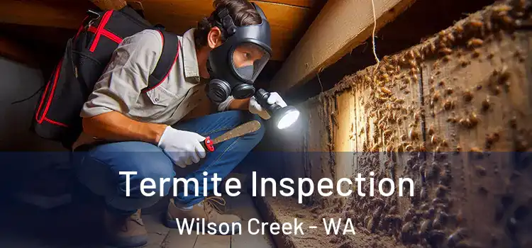  Termite Inspection Wilson Creek - WA