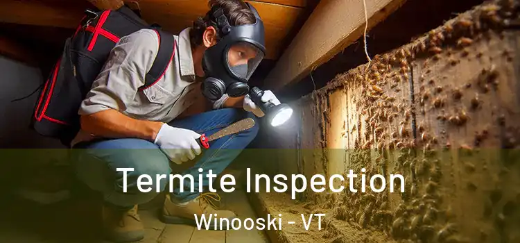  Termite Inspection Winooski - VT