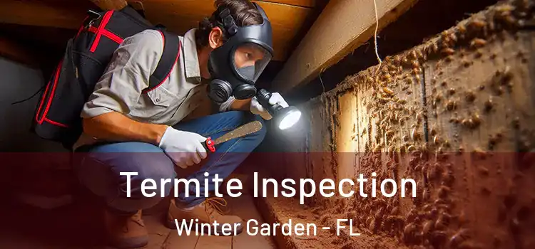 Termite Inspection Winter Garden - FL