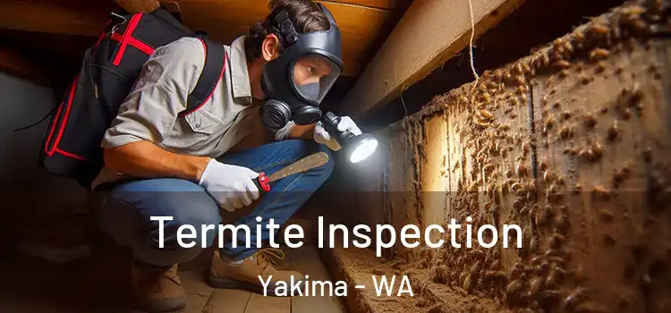  Termite Inspection Yakima - WA