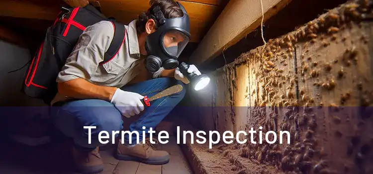 Termite Inspection