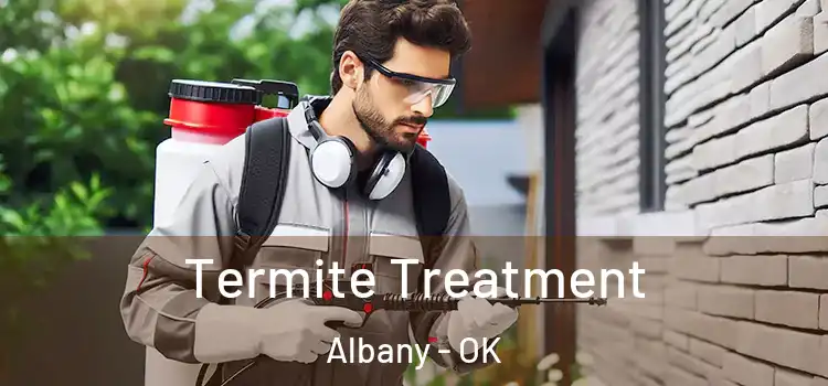  Termite Treatment Albany - OK