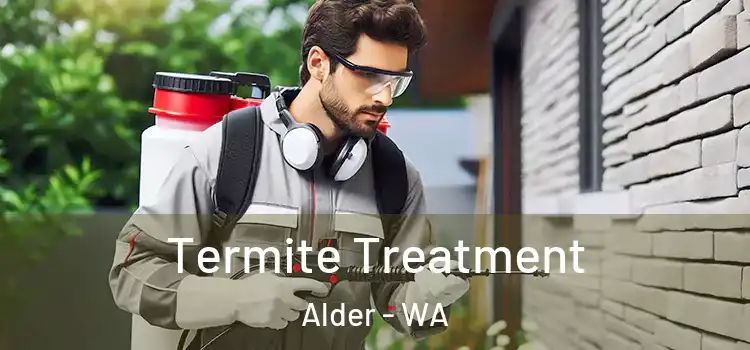  Termite Treatment Alder - WA